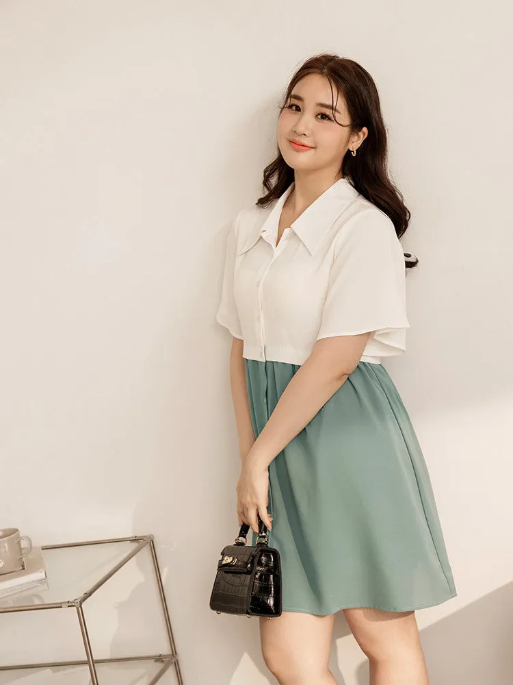 Colorblock Short Button Mini Shirt Dress